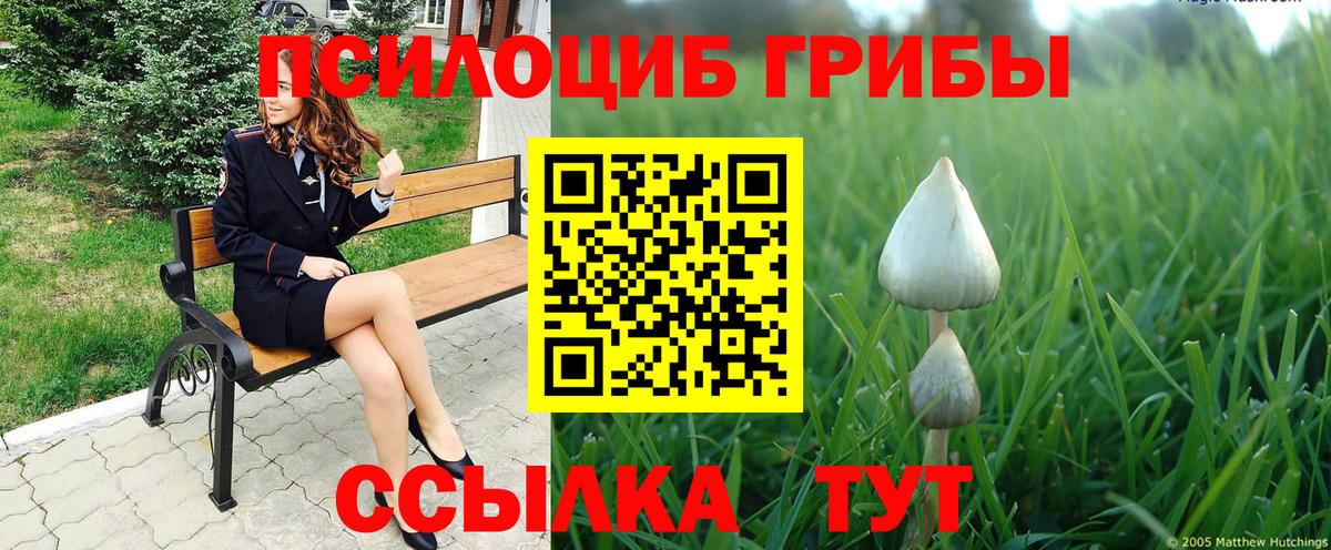 Набережные Челны  Псилоцибиновые грибы Psilocybine cubensis  Вход с VPN  Галлюциногенные грибы мицелий 